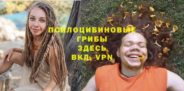 PSILOCYBIN Алзамай