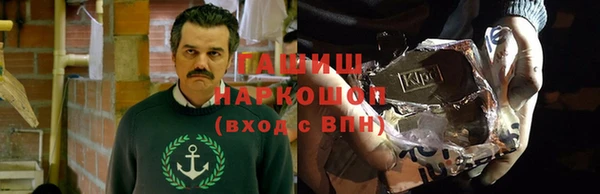 PSILOCYBIN Алзамай