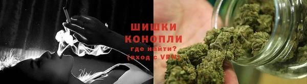 PSILOCYBIN Алзамай