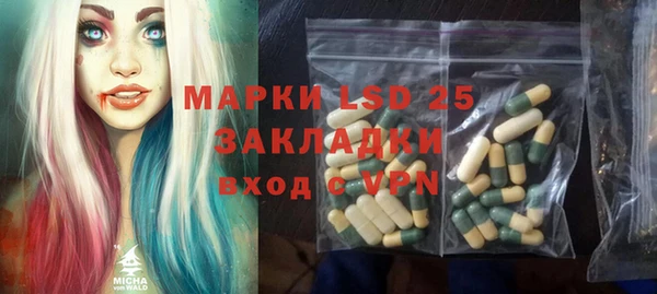 PSILOCYBIN Алзамай