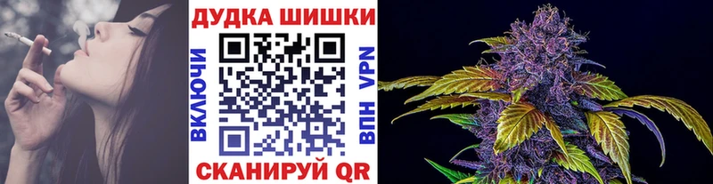 Марихуана планчик  KRAKEN зеркало  Ставрополь 